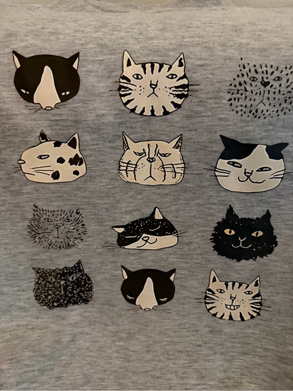 Cat Faces Sweatshirt